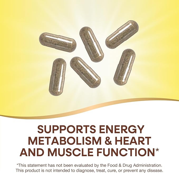 Nature's Way Alive! Max6 Potency Adult Complete Multivitamin, Vitamins A,C, E & B-Vitamins Including Methyl B12 & Folate, Supports Energy Metabolism*, No Added Iron, 90 Capsules (Packaging May Vary)