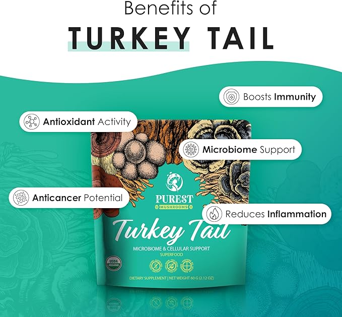 Turkey Tail Powder - Organic Mushroom Supplement with Powerful Turkey Tail Mushroom Extract for Microbiome & Cellular Support 60g