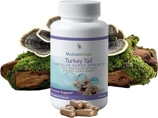 Turkey Tail Mushroom Capsules, Coriolus Super Strength, Natural Mushroom Supplement for Adults, Health Support, Hot Water Extracted Mushrooms, Vegetarian, 500MG, 90 CT