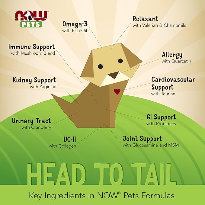 NOW Foods Pet Health, G.I. Support Supplement, Formulated for Cats & Dogs, NASC Certified, 90 Chewable Tablets