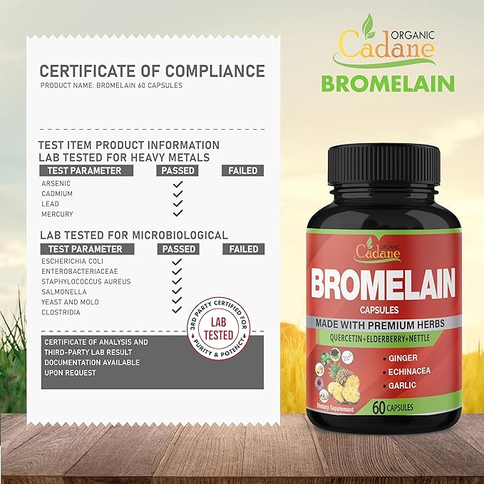 Organic Cadane Bromelain Extract Capsules, 8in1 with Quercetin, Elderberry, Nettle, Ginger, Echinacea, Garlic, Black Pepper - Support Digestion Health & Immune System - 60 Capsules