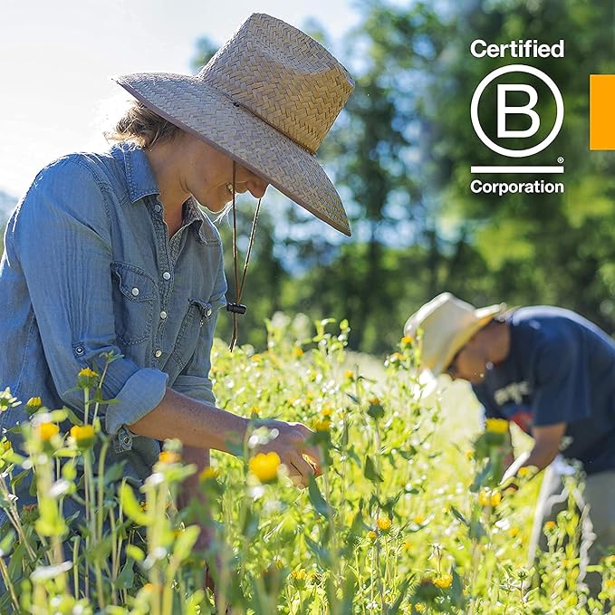 Herb Pharm Milk Thistle Seed Extract for Liver Function Support - 4 Ounce (DMILK04)