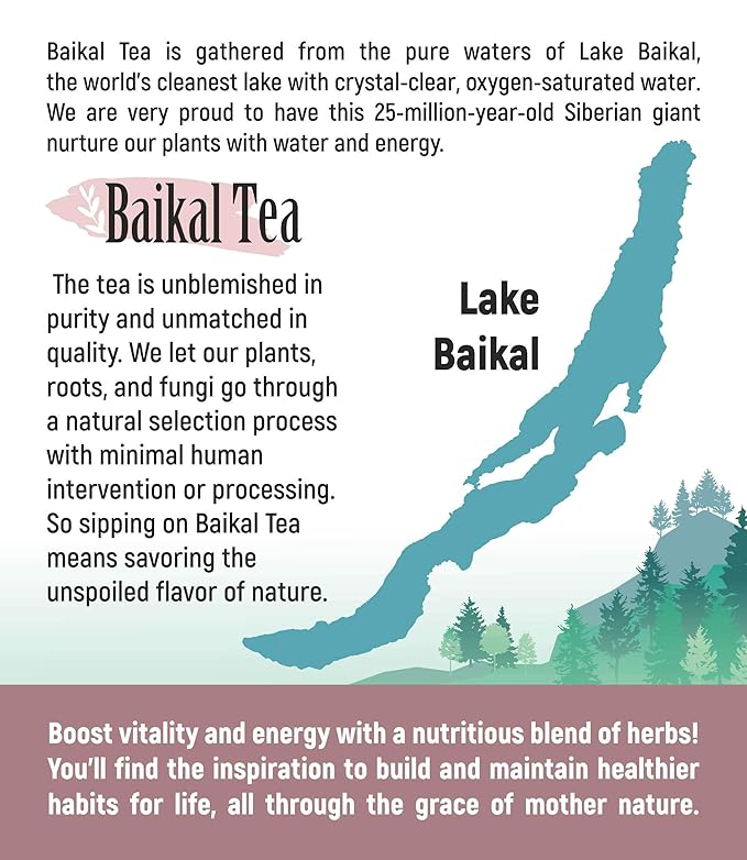 Chaga Tea - 100% Wild Siberian Birch Chaga Mushroom - Organic - 30 Unbleached Tea Bags - Pure No Additives - Natural Detox and Digestive Support - Hand-Picked by Baikal Tea
