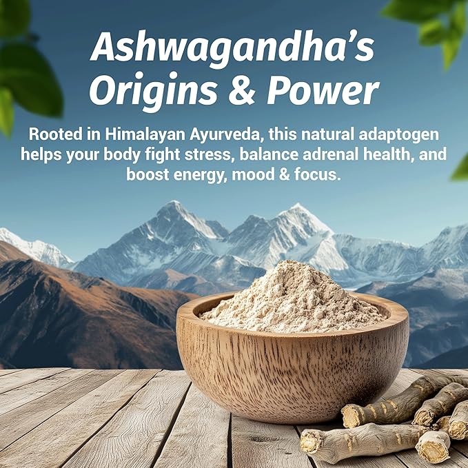 1 Body Ashwagandha Complex with Shoden® – Clinically Supported Stress Relief, Sleep, and Energy Support – Vegan, Non-GMO Supplements – 60 Capsules
