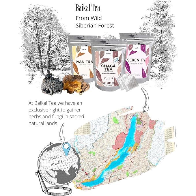 Chaga Tea - 100% Wild Chaga Mushrooms with Bergenia - 30 Unbleached Tea Bags - from Wild Siberian Lake - Hand-Picked by Baikal Tea