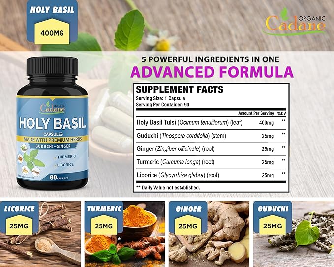 Organic Cadane Holy Basil Supplements Capsules, 5in1 with Guduchi, Ginger, Turmeric Curcumin, Licorice - Support Immune - 90 Capsules for 3 Months