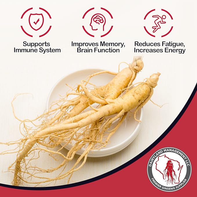 Dairyland American Ginseng Roots and Powder - 4 oz Pack Each of Wisconsin Ginseng – Direct from Farmer to Consumer 西洋参