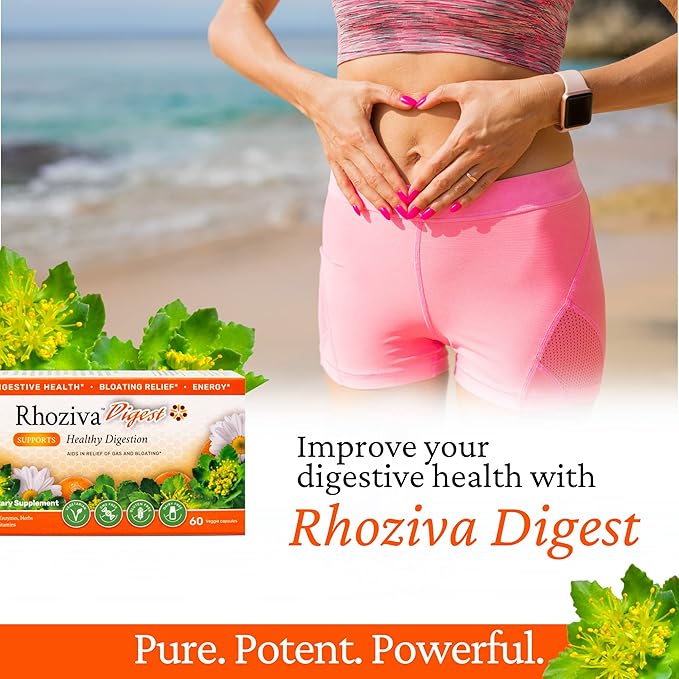 Digest Gut Health Supplement with Digestive Enzymes for Men & Women - Probiotics & Prebiotics for Gut Health - Reflux & Debloating for Women & Men - Daily Synbiotic Gut Vitamins - 60 Capsules