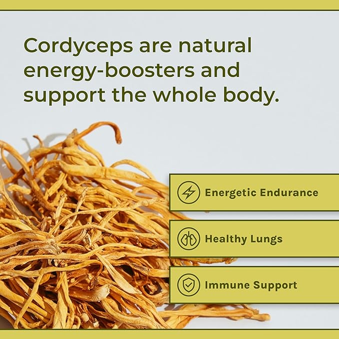 Naturealm Cordyceps Mushroom Powder - Organic Mushroom Extract for Focus, Energy & Mental Clarity - 100% Mushroom Fruiting Bodies - Cordyceps Militaris Supplement (60 Servings)