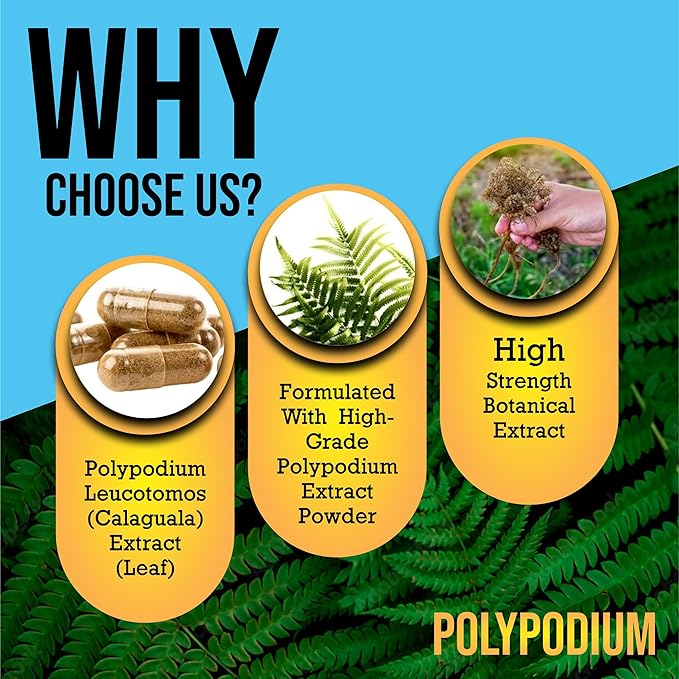 Skin Care Supplement Capsules - Nicotinamide/Niacinamide/Niacin 500mg (Vitamin B3) and Polypodium Leucotomos (Fern Extract) 480mg, Antioxidant Rich Formula