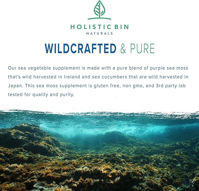 Holistic Bin Purple Sea Moss and Sea Cucumber Supplement Wildcrafted Raw Sea Moss Capsules | 500mg Sea Vegetables Per Serving