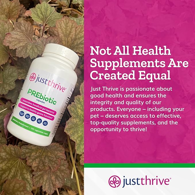 Just Thrive PREbiotic Capsules - Prebiotic Blend for Gut Health and Immune Support, 120 Caps
