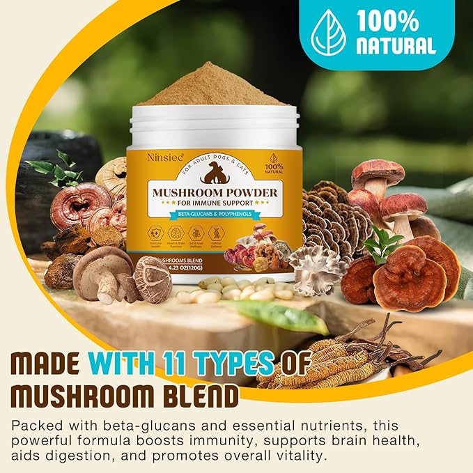 Organic Mushroom Supplement Powder for Dogs & Cats – 11 Mushroom Complex with Turkey Tail, Reishi & Cordyceps, Supports Lipoma, Lumps & Bumps Relief, Immune & Skin Health, 120g