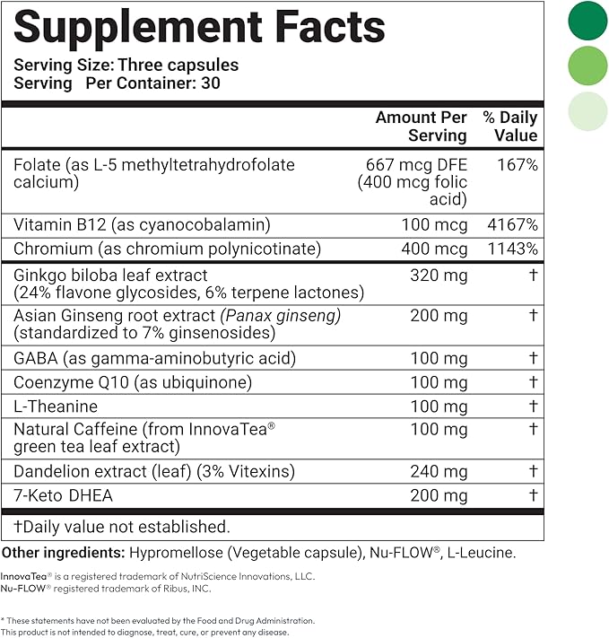 Daily Boost 3-in-1 Weight Loss, Energy, & Focus Support | 7-Keto DHEA (200mg) Thermogenic with Natural Caffeine, CoQ10, B12, Ginkgo Biloba, Ginseng, L-Theanine, Folate | 30 Servings