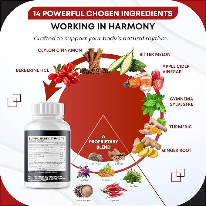 Berberine Ceylon Cinnamon - All-in-1 Supplement with Bitter Melon AVG Gymnema sylvestre Turmeric Milk Thistle Licorice Holy Basil Fenugreek Banaba