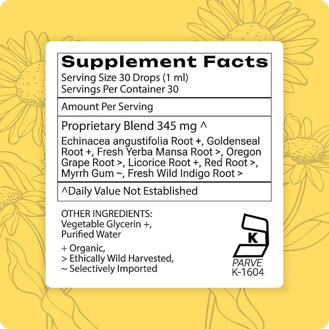 Grama Wellness Echinacea Goldenseal Tincture, Alcohol-Free Liquid Extract Immune Support Supplement, Organic Echinacea & Goldenseal Root Drops | Made in USA - 30 Servings