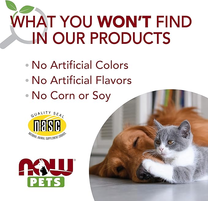 NOW Foods Pet Health, L-Lysine Supplement, Powder, Formulated for Cats, NASC Certified, 8-Ounce
