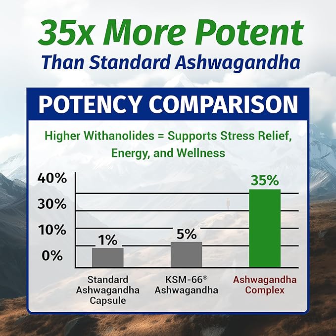 1 Body Ashwagandha Complex with Shoden® – Clinically Supported Stress Relief, Sleep, and Energy Support – Vegan, Non-GMO Supplements – 60 Capsules