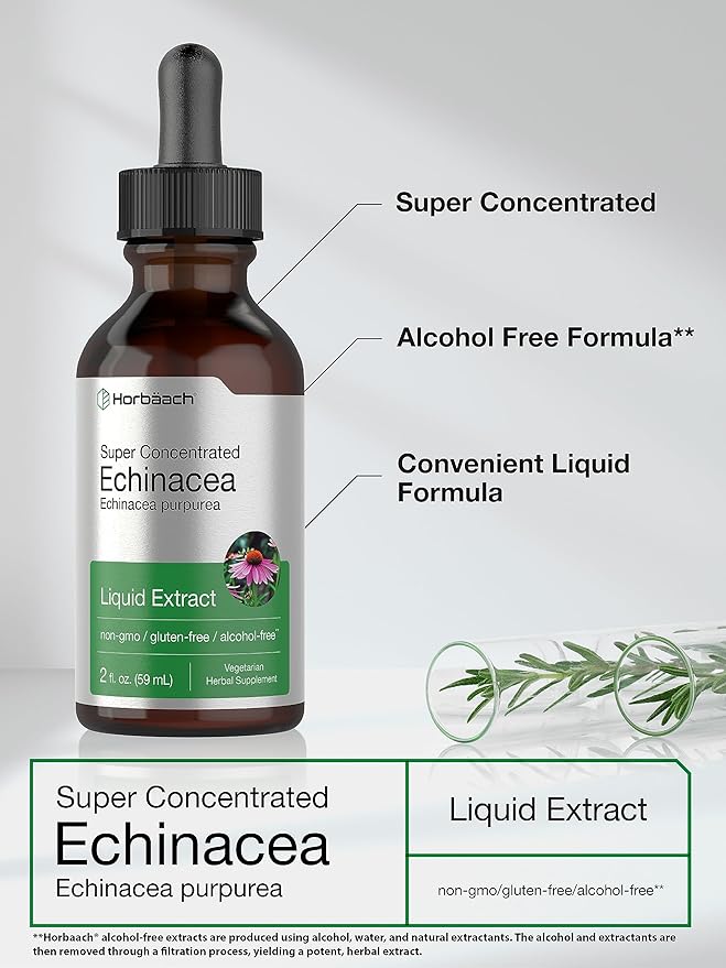 Horbäach Echinacea Drops Liquid Extract | 2 fl oz | Super Concentrated Tincture | Alcohol Free, Vegetarian, Non-GMO, and Gluten Free