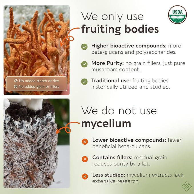 Longevity Botanicals Organic Cordyceps Mushroom Extract Capsules (120) | Concentrated 10:1 Ratio | 100% Fruiting Bodies | Cordyceps Militaris Natural Supplement for Respiratory & Performance Support