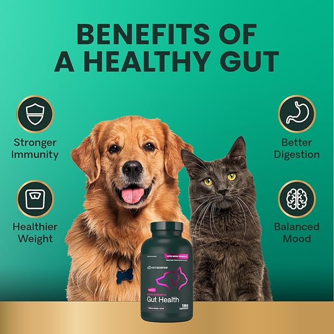 VetriScience Extra Strength Gut Health Probiotic & Prebiotic Digestive Supplements for Dogs & Cats, Gas & Diarrhea & Immune Support, Easy-Open Capsules, 180 Count - New Look