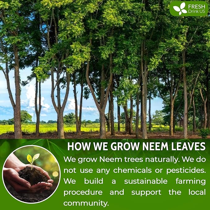 FreshDrinkUS, Premium 20oz Neem Leaf Powder, 100% Natural and Pure from Neem Leaves Dried, for Hair and Skin, No Additives, No Gluten, No Sugar, Vegan