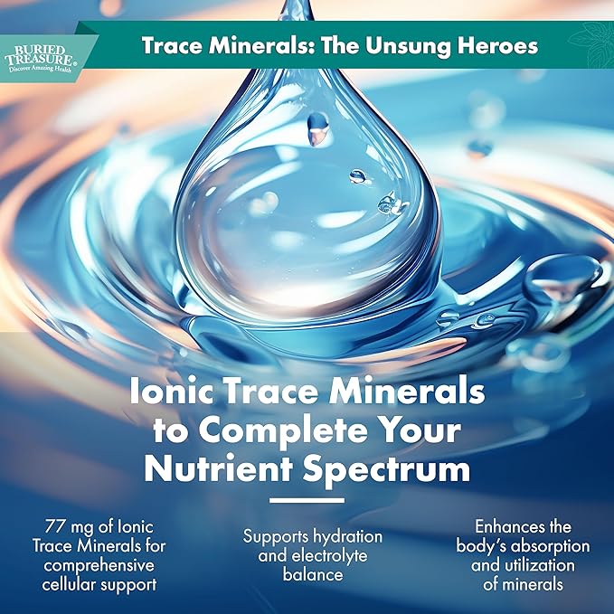 Buried Treasure Zinc Complex Drops - 30 Servings, 2 fl oz, Efficient and Bioavailable Ionic Zinc Supplement