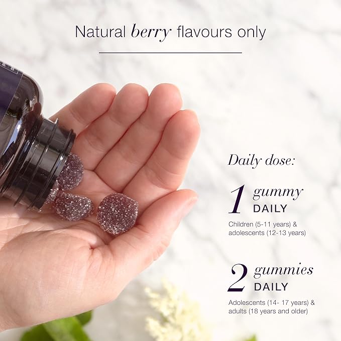 NEW NORDIC Elderberry Vegan Gummies, Sugar Free Chewable Immune Support with Vitamin C for Adults and Kids 4+, No Artificial Colors or Flavors, 60 Count (Pack of 1)