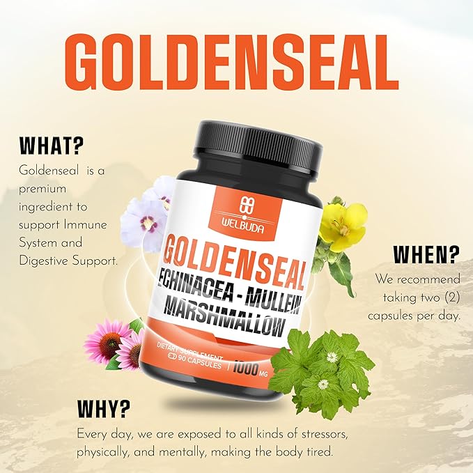 1000mg Goldenseal Root Capsule Extract 10:1 with Echinacea, Mullein Leaf, Marshmallow - Support Immune System, Digestive Health, Overall Well-Being & Body Management - 90 Veggie Capsules
