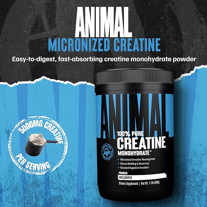 Animal Creatine Monohydrate Powder - Micronized Creatine for Women and Men, Supports Muscle Growth, Strength, Endurance, Recovery and ATP Production, Gym & Workout Supplements - Unflavored, 500g