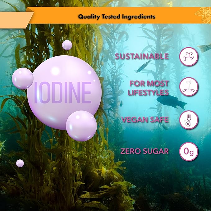 Buried Treasure Iodine Drops from Kelp - 2% Liquid Drops,120 Servings, 2 fl oz, Natural Thyroid & Immune Support, Vegan & Non GMO