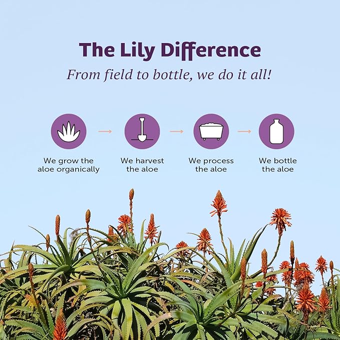 Lily Of The Desert Stomach Formula, Organic Aloe Vera Juice with Slippery Elm, Chamomile, Peppermint, and Ginger for Gut Health, Acid Reflux, Heartburn Relief, 32 Oz