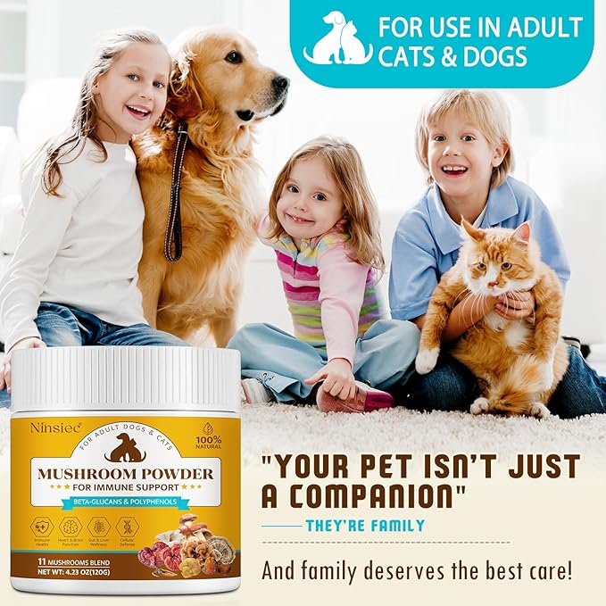 Organic Mushroom Supplement Powder for Dogs & Cats – 11 Mushroom Complex with Turkey Tail, Reishi & Cordyceps, Supports Lipoma, Lumps & Bumps Relief, Immune & Skin Health, 120g