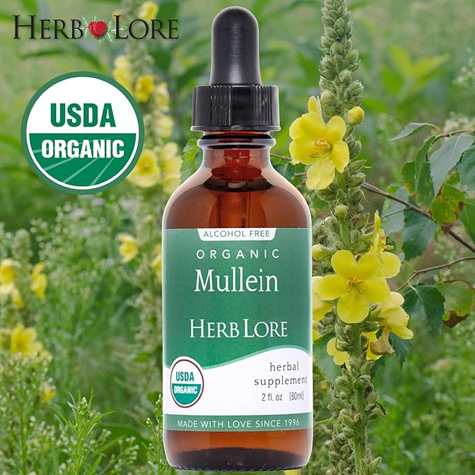 Herb Lore Organic Mullein Tincture Drops - Mullein Leaf Extract for Lungs - Safe for Kids - Alcohol Free (2 fl oz)