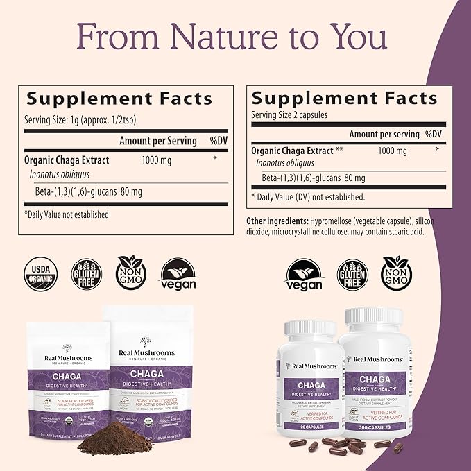 Real Mushrooms Chaga Powder - Organic Mushroom Supplement with Extract for Digestion, Energy, Immune Support Vegan Extract, Non-GMO, 60 Servings