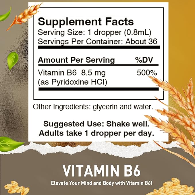 Vitamin B6 (Pyridoxine) Drops – Liquid Vitamin B Drops for Natural Brain Function Support, Blood Vessels & Immune Support – Liquid Vitamin Mood Supplement – Alcohol-Free Health Supplement (1 Fl Oz)