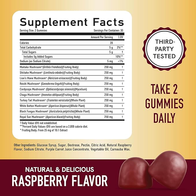 Mushroom Gummies for Adults | with Lions Mane, Turkey Tail, Reishi, Cordyceps, Chaga & Maitake | Nootropic Mushroom Supplement | Support Cognitive Function & Immune Health | Raspberry Flavor | 60ct