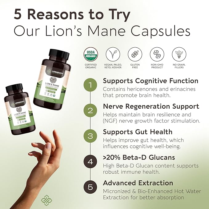 Longevity Botanicals Organic Lion’s Mane Mushroom Extract Capsules (240) | Concentrated 8:1 Ratio | 100% Fruiting Bodies | Hericium Erinaceus Nootropic Supplement for Focus, Memory & Brain Support