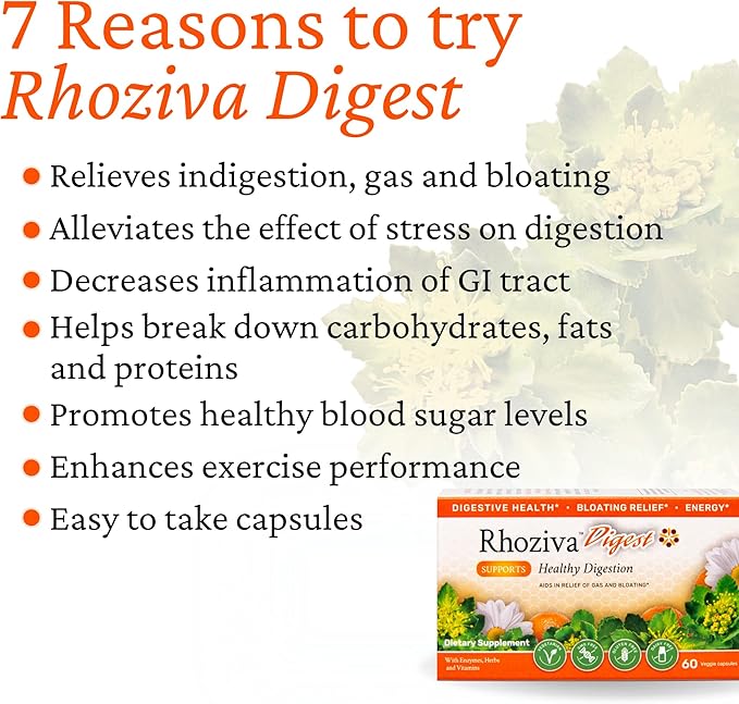 Digest Gut Health Supplement with Digestive Enzymes for Men & Women - Probiotics & Prebiotics for Gut Health - Reflux & Debloating for Women & Men - Daily Synbiotic Gut Vitamins - 60 Capsules