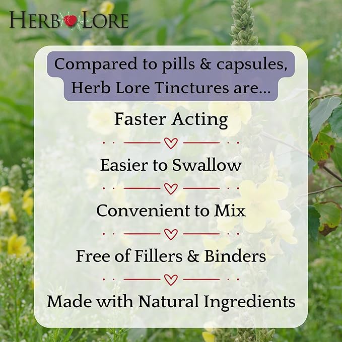 Herb Lore Organic Mullein Tincture Drops - Mullein Leaf Extract for Lungs - Safe for Kids - Alcohol Free (4 fl oz)