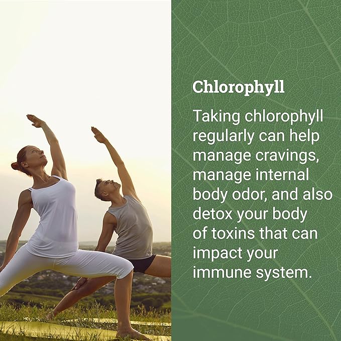 Liquid Chlorophyll, Liquid Drops for Immune System Support, Natural Internal Deodorant - Vegan Chlorophyll Drops with Organic Glycerin - Clorofila Liquida, Chlorophyllin Detox Cleanse (1 mL)