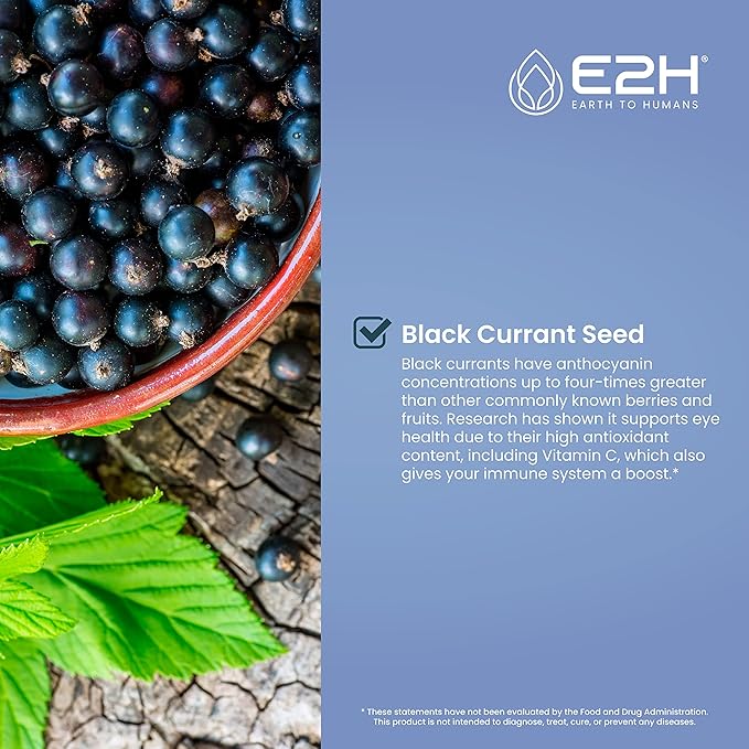 E2H Natural Black Currant Extract, Cold Pressed Black Currant Seed - Immune System Health - Fast Absorbing Liquid (2 Bottles)