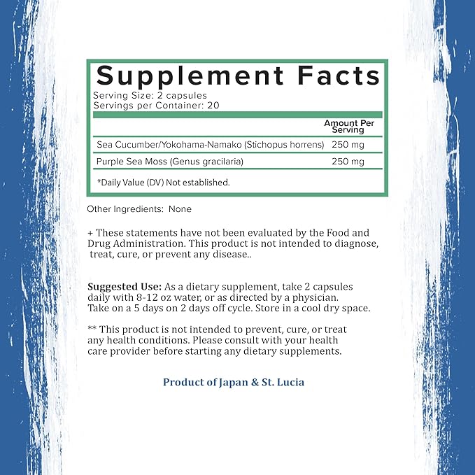 Holistic Bin Purple Sea Moss and Sea Cucumber Supplement Wildcrafted Raw Sea Moss Capsules | 500mg Sea Vegetables Per Serving
