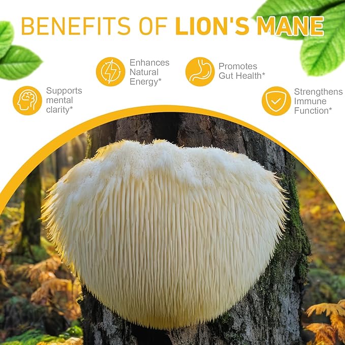 Lions Mane Mushroom Drops - 2Pack, Brain Supplement, Brain Vitamins, Enhance Memory & Focus & Immunity, 4 Oz