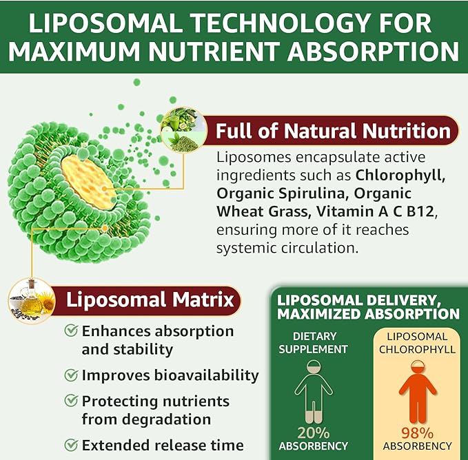 Organic Chlorophyll Liquid Drops Liposomal for Women & Men, 6-in-1 Greens Superfood Vegan Chlorophyll w/Spirulina, Wheat Grass, Vitamin C B12 A for Internal Deodorant*, Energy,Digestive,2Packs/4 Fl Oz