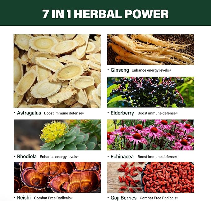 Astragalus Root Extract Herbal Drops for Immune System Support, Immunity Health & Energy Boost Tincture Supplements with Rhodiola Rosea, Echinacea, Elderberry, Reishi, Ginseng. Huang Qi. 2oz