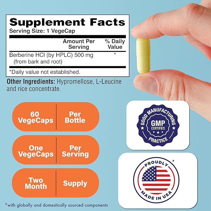 Health Thru Nutrition Berberine HCl 500mg 60 Servings | Clinical Strength Supplement | Certified Vegan | Non-GMO | Soy Free | 3rd Party Tested