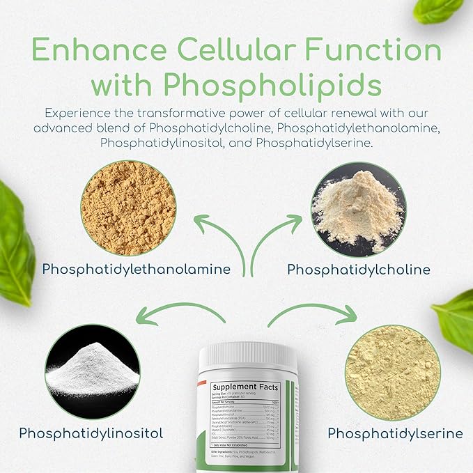Phospholipid Synergy Powder | Antioxidant Powder for Cellular Repair | Brain Supplements for Memory and Focus | Liver Detox Supplements with an Advance Cleansing Formula | 270 g