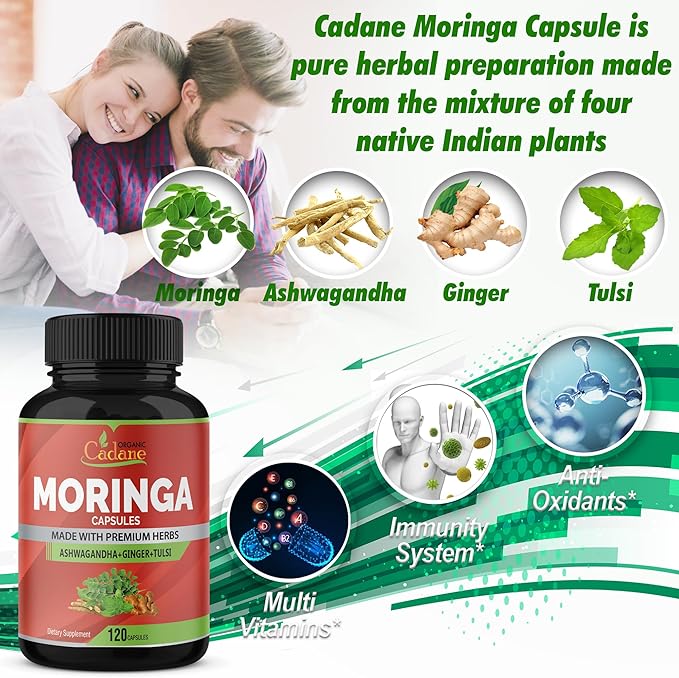 Organic Cadane Moringa Powder Capsules, 4in1 with Ashwagandha, Ginger, Holy Basil Tulsi - Immune Support - Oleifera Leaf Powder Herb Supplements, 120 Capsules