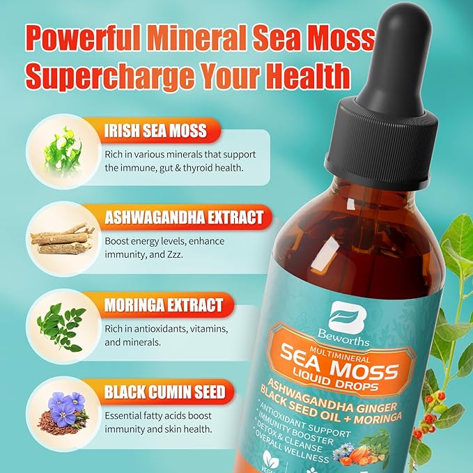 2PACK Sea Moss Drops - Irish Sea Moss Chlorophyll Liquid with Black Seed Oil, Ashwagandha, Moringa, Turmeric, Elderberry, Mullein, Seamoss Gel Supplement for Lung Cleaner, Detox & Gut, Immune Support